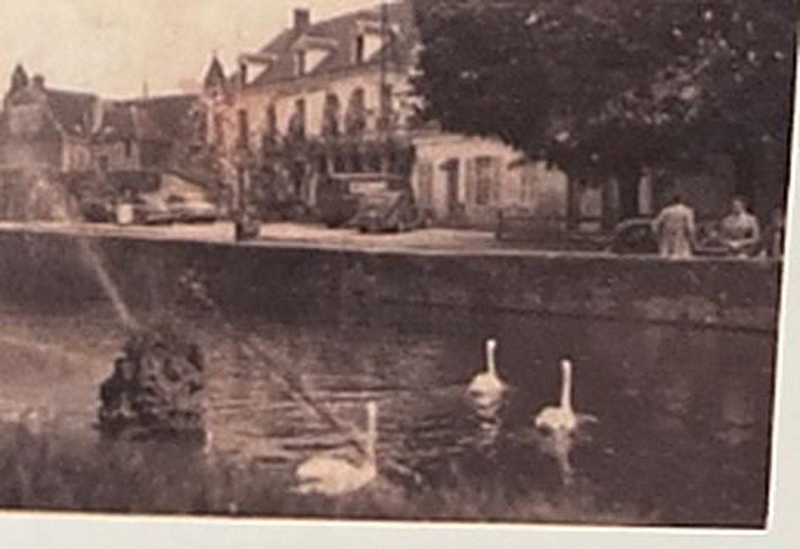 Années 1950  Les cygnes du plan d'eau, le Relais en toile de fond